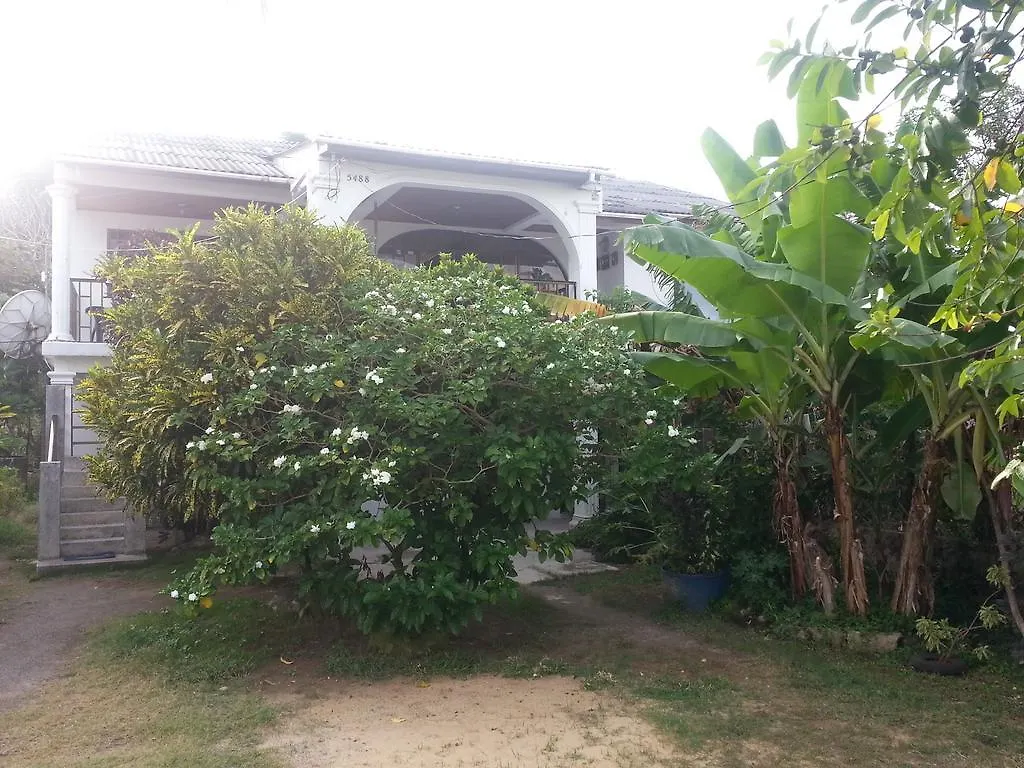 Ground Road Native Place San Andrés